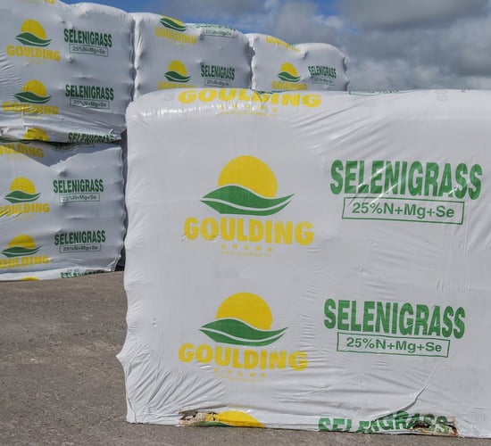 70% of grazing grass and grass silage is either low or very low in Selenium - Gouldings