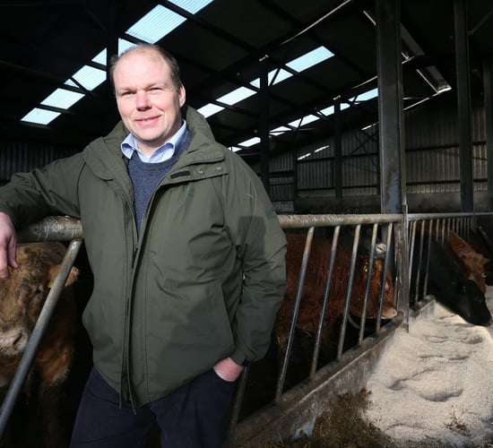 Henry Burns: Bord Bia and the processors are not working hard enough for farmers