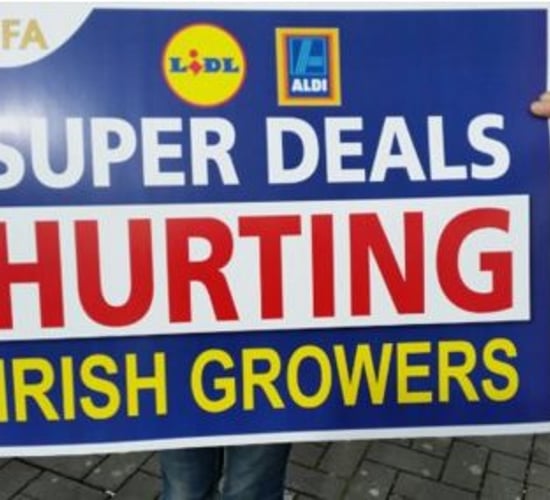 Lidl and Aldi accused of 'gross hypocrisy' at IFA vegetable protest