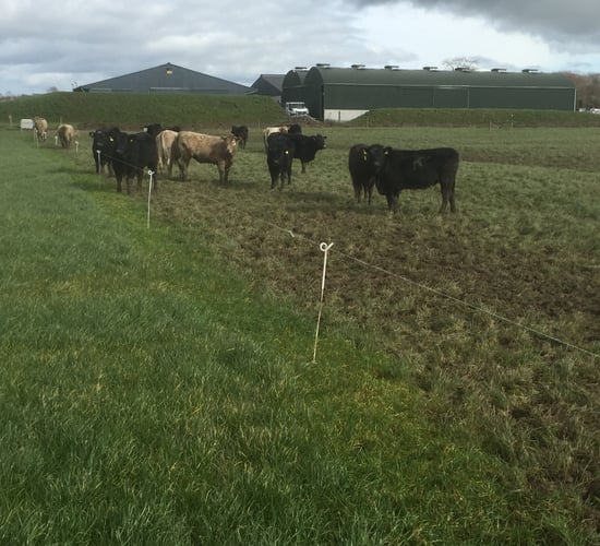 BPS payments reduced because of non-compliant rule - can farmers appeal?