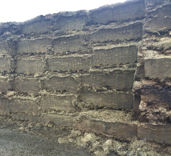 Silage quality up on last year, but farmers struggle with cutting date