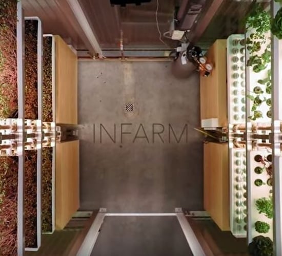 A supermarket is growing its own vegetables - in the aisle!