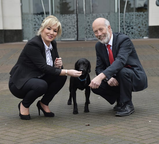 Tougher sentencing for those found guilty of animal cruelty in the North