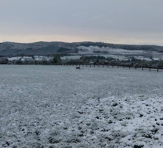 Up to 6cm of snow expected as multiple weather warnings issued