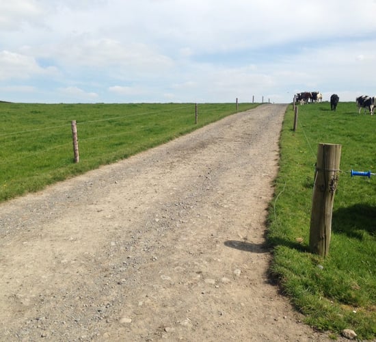 Four steps to simplify the workload on dairy farms