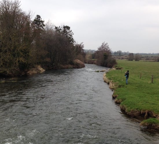 IFA backs calls for increased resources to improve water quality