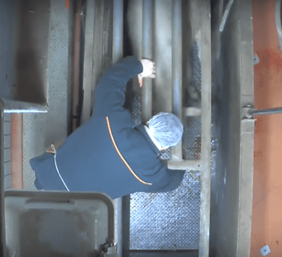 French abattoir investigation after graphic video shows animal abuse