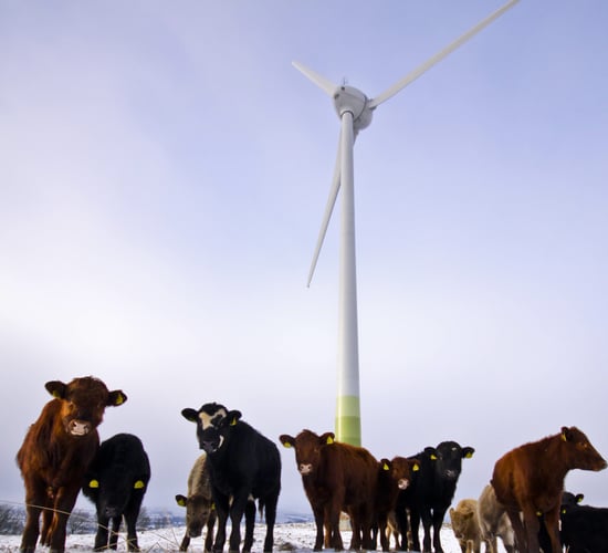 Will wind turbines negatively impact on the price of your property?