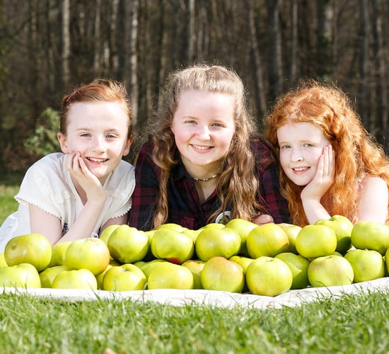 Armagh to mark the start of this year's apple growing season with three day festival