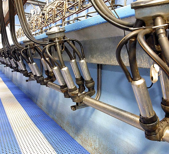 IFA calls for immediate stop to any more milk price cuts
