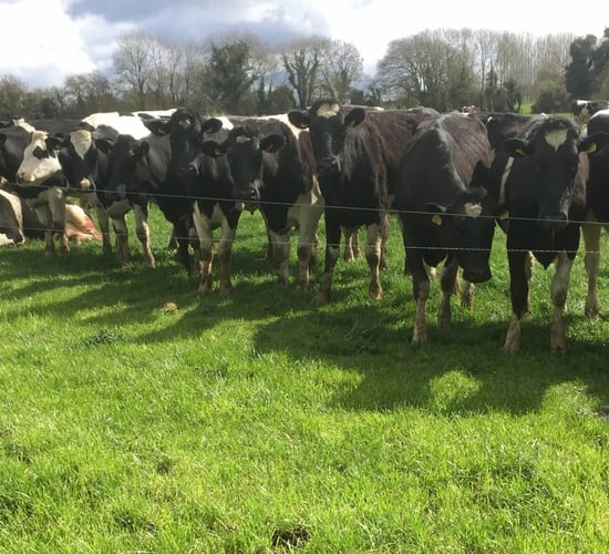 'We've nearly been hit with everything and retailers dropping milk price is the last kick'