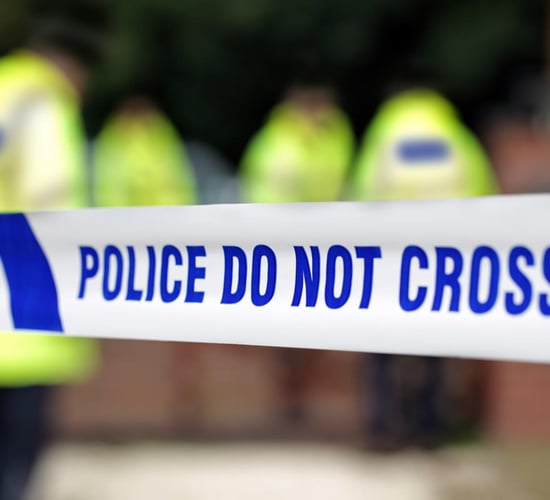Bull shot following road traffic accident in the North