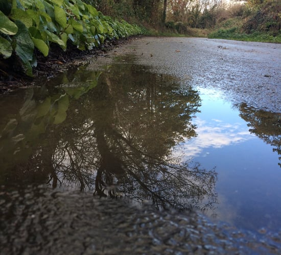 A cool, windy and unsettled week ahead - Met Eireann