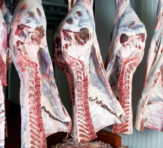 EU average beef price €6.54/kg at start of July