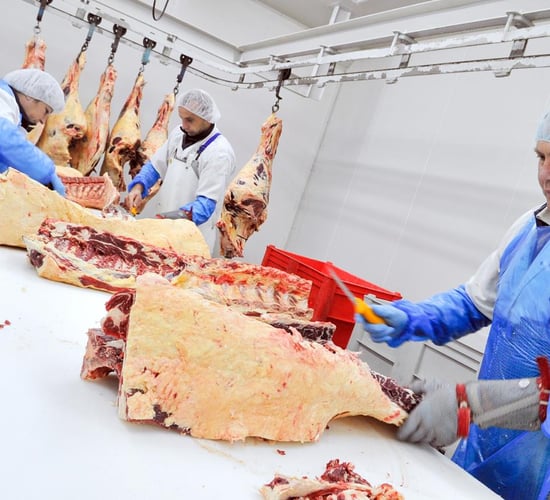 Beef factories anxious for cattle as Christmas market begins