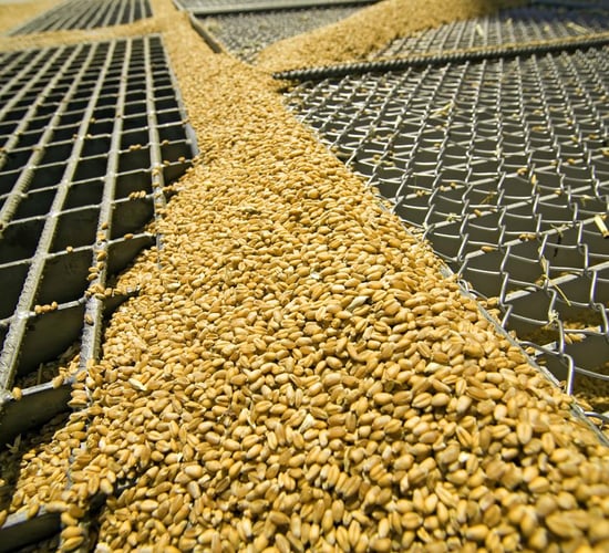 US production of maize, soya and wheat expected to rise