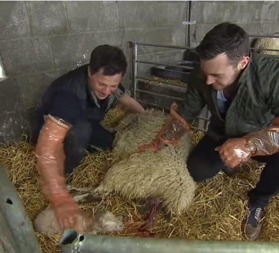 Big week on the farm to feature camogie star and a chicken-plucking challenge