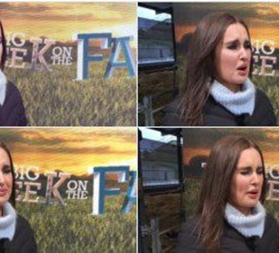 Roz Purcell found out about insect farming on Big Week on the Farm