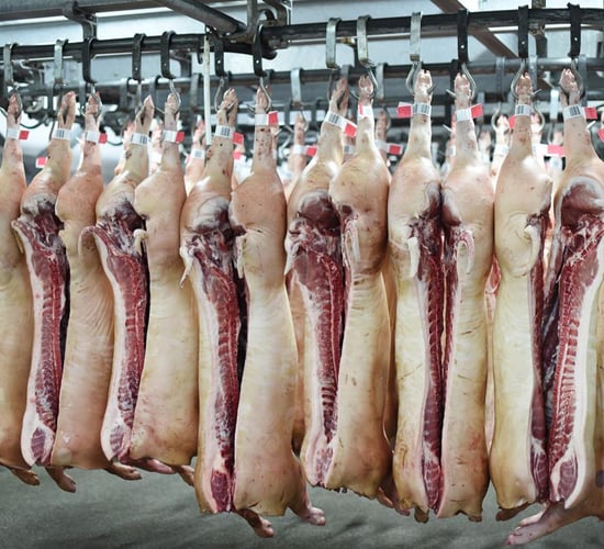 Meat processors call for 'immediate halt' to vet protest