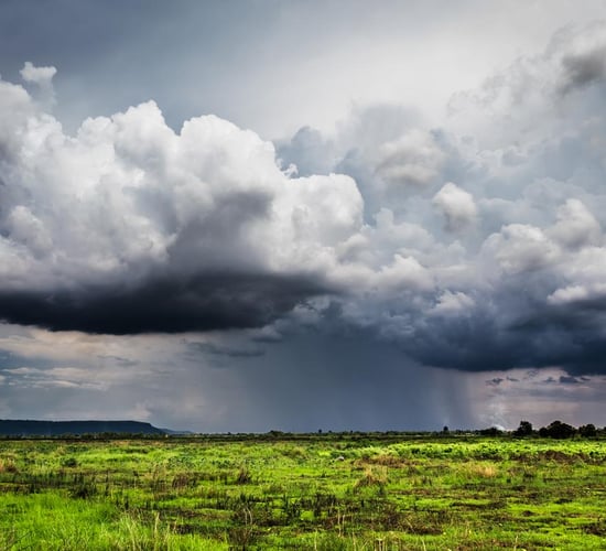 Weekend wind warning issued for west