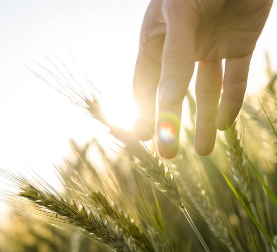 23% of skin cancer deaths from outdoor and farming sectors