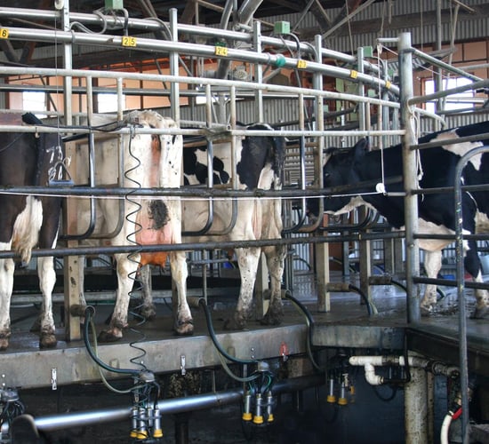 US milk production continues its upward trend for April