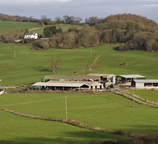 Table: GLAS accounts for lion's share of 2019 agri scheme appeals