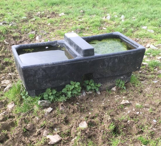 Contaminated water in Tipperary unsafe for humans and animals