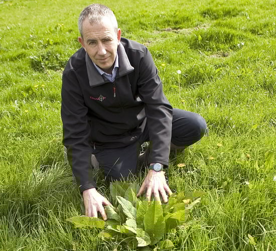 Will contractor spraying become the 'norm' within grassland sector?