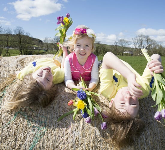 Bigger farm machinery display in store for this year's Cork Summer Show