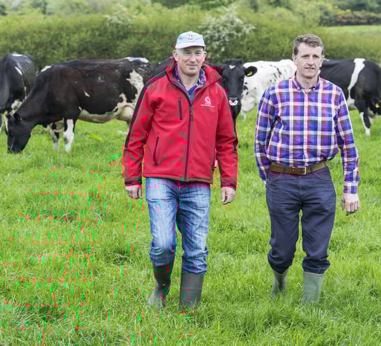 Dairygold announces the winner of its 2015 Milk Quality Awards