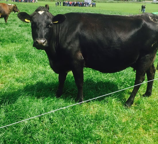 Is annual soil testing necessary on heavily stocked farms?
