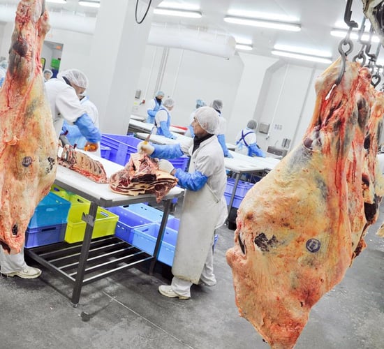 Factories consider closing as 'cold snap' approaches
