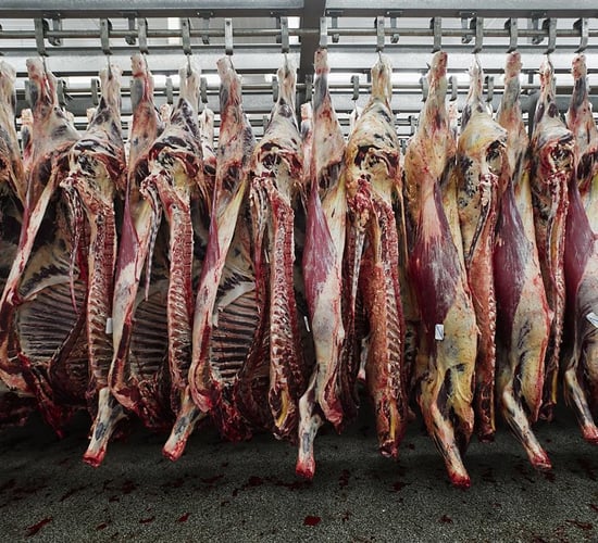 How many carcass grading machines were 'turned off' in 2024?