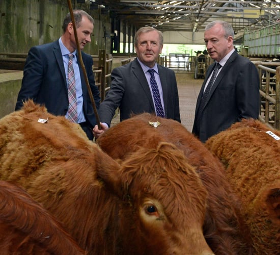 'Customers have the right to know that their food is labelled authentically'