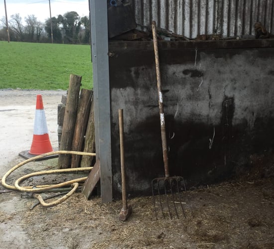 IFA calls for 'all necessary resources' for Storm Éowyn recovery