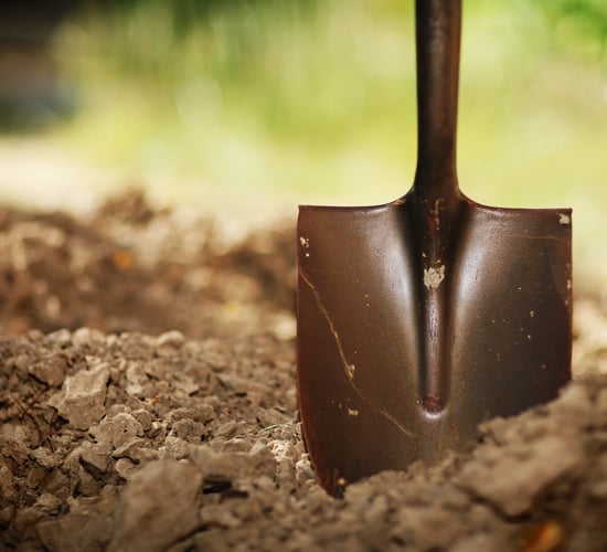 WRC: 47% of agri workplaces in breach of employment law