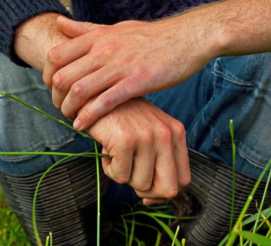 Make the 'Moove': Open meeting to address farmer issues this week
