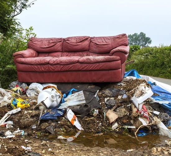 Senator calls for €10,000 fine for fly-tipping