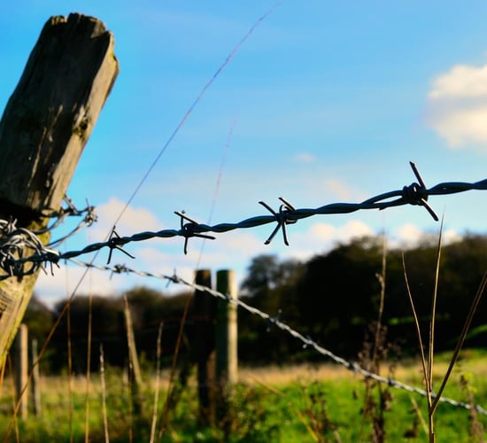 How many farmers in your county are awaiting GLAS and AEOS payments?