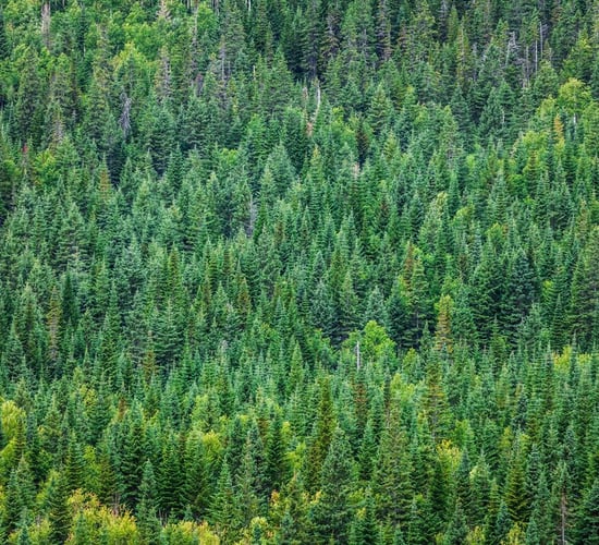 Budget 2018: Allocations for forestry, organics and more