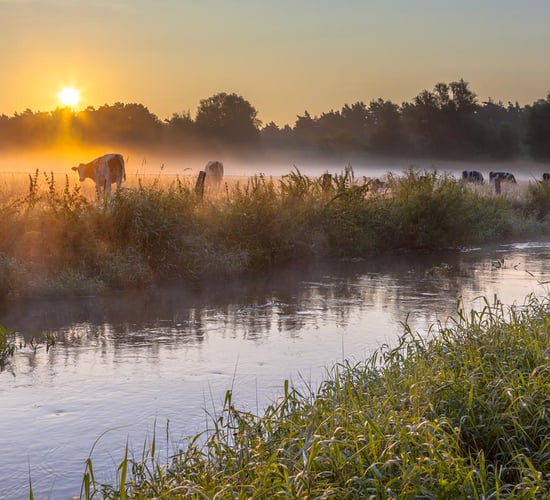 Just 1 of NI's 21 lakes classified as 'good' in latest assessment