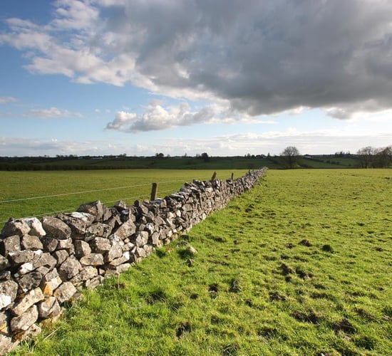 Farmland prices dip in the first quarter of 2016 due to limited supply