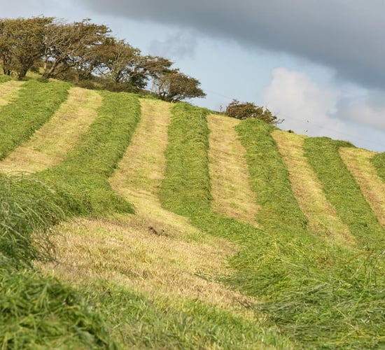 Video: As silage season draws close - think safety first