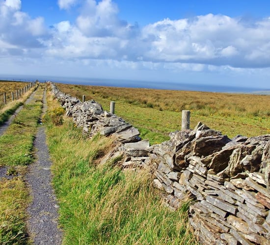 Public consultation on new agri-environment pilot opens