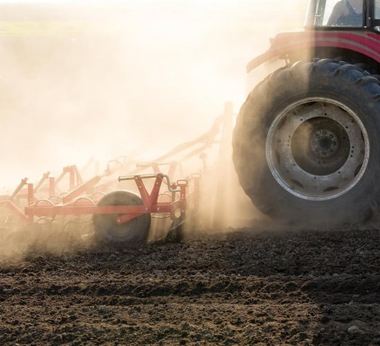 UN contest to bring World Food Day into spotlight