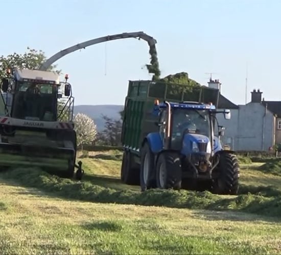 'Next generation' silage additive on its way to farmers