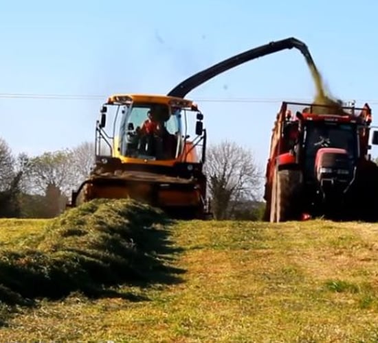 Video: Great footage of silage 2016 from mowing to packing the pit