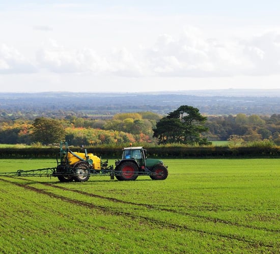 Weed control in spring barley: the need to use herbicides effectively