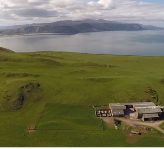 Welsh shepherd begins farming £1m farm which he rents for just £1/year